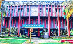 বাড়ির উঠানে পেয়ারা গাছের ডালে ঝুলছিল কৃষকের লাশ