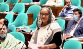 একে একে বীর মুক্তিযোদ্ধাদের হারিয়ে ফেলছি : প্রধানমন্ত্রী