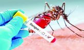 একদিনে রেকর্ড ডেঙ্গু রোগী হাসাপাতালে ভর্তি, মৃত্যু ১