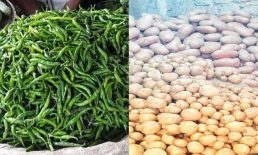 কমছে না মরিচের দাম, আলুর বাজারে অস্বস্তি