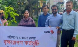 সুবর্ণচরতে ইউসিবি ব্যাংকের উদ্যোগে বৃক্ষরোপ কর্মসূচি