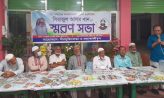 হাতিয়ায় সিরাজুল আলম খান স্মরনে স্মরন সভা অনুষ্ঠিত