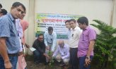 বঙ্গমাতার জন্মবার্ষিকী উপলক্ষে নোবিপ্রবিতে বৃক্ষরোপণ কর্মসূচি