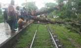 ৮ ঘণ্টার পর নোয়াখালীর সঙ্গে ঢাকার ট্রেন চলাচল স্বাভাবিক