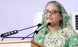 মশা মেরে শেষ করা যাবে না, সবাইকে সচেতন হতে হবে : প্রধানমন্ত্রী