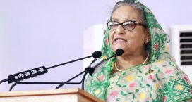 মশা মেরে শেষ করা যাবে না, সবাইকে সচেতন হতে হবে : প্রধানমন্ত্রী