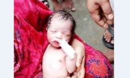 সেনবাগে  জঙ্গলে মিলল জীবিত নবজাতক