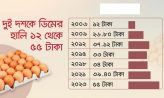দুই দশকে ডিমের হালি ১২ থেকে ৫৫ টাকা