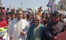 সেনবাগের আওয়ামী লীগের শান্তি সমাবেশ