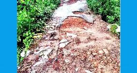 চাটখিলের অনুপযোগী হয়ে পড়েছে পূর্ব শোশালিয়া সড়ক, চলাচলে চরম দূর্ভোগ
