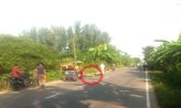 ধর্মপুরে গাড়ি চাপায় অজ্ঞাতনামা নারী নিহত