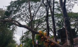 ঘূর্ণিঝড় ‘মিধিলি’র আঘাতে ব্যাপক বৈদ্যুতিক ক্ষয়ক্ষতি