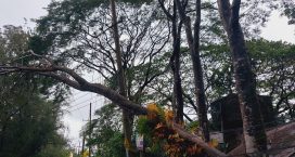 ঘূর্ণিঝড় ‘মিধিলি’র আঘাতে ব্যাপক বৈদ্যুতিক ক্ষয়ক্ষতি