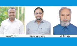 নোয়াখালী-৩/নৌকার গলার কাটা ট্রাক, ট্রাকে ধরাশায়ী হওয়ার আশঙ্কা নৌকার