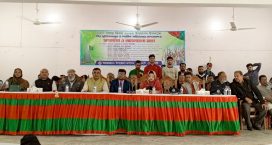 কবিরহাটে যথাযোগ্য মর্যাদায় বিজয় দিবস উদযাপন