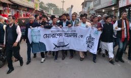 সেনবাগে নৌকার সমর্থনে মিছিল