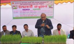 সুবর্ণচরে রাইস ট্রান্সপ্লান্টারে চারা রোপন উদ্বোধন
