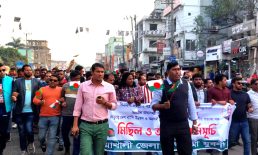 বিএনপি জামায়াতের মিছিলের প্রতিবাদে জেলা যুবলীগের মিছিল ও অবস্থান কর্মসূচি