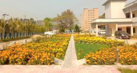 সার্কিট হাউজ জুড়ে নজরকাড়া বাহারি ফুল