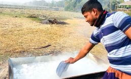 পর্যটকদের কাছে টানছে নিঝুম দ্বীপের খেজুর গুড়