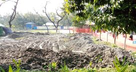 সদরে বিদ্যালয়ের জায়গা দখলের চেষ্টা