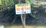 সরকারি খাল দখল করে মাছ চাষ