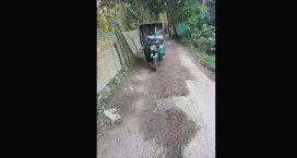 ছাতারপাইয়ার রাস্তাগুলি সংস্কারের আবেদন