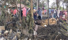 নোয়াখালী ইউনিয়নে অগ্নিকাণ্ডে দগ্ধ হয়ে বৃদ্ধের মৃত্যু, বসতঘত, ভেড়া-গরু পুড়ে ছাই