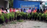 সুবর্ণচরে এনআরডিএস প্রান্তিক নারীদের মাঝে ১১ হাজার বৃক্ষের চারা বিতরণ