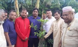 উপজেলা বন বিভাগের আয়োজনে বেগমগঞ্জ বৃক্ষ রোপন কর্মসূচি অনুষ্ঠিত
