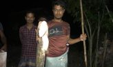 কৃষকের টেঁটায় বিঁধলো সাড়ে ৪ কেজির বোয়াল