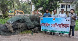 হাতিয়ায় চায়না দুয়ারির বিস্তারে বিলীন হচ্ছে দেশীয় প্রজাতির মাছ