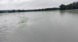 সুবর্ণচরে দিনভর বৃষ্টি কমলেও বন্যা পরিস্থিতির উন্নতি হয়নি