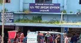 জেলাজুড়ে সাপের কামড়ে  ২ দিনে হাসপাতালে ভর্তি ৩৫ জন