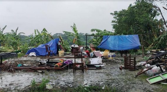 সুবর্ণচরে হঠাৎ ঘূর্ণিঝড়ে লণ্ডভণ্ড তিন গ্রাম, কাঁচা ঘরবাড়ি বিধ্বস্ত, ব্যাপক ক্ষয়ক্ষতি