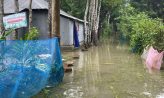 ভারী বৃষ্টিতে কোম্পানীগঞ্জের বিভিন্ন স্থানে জলাবদ্ধতা : জনজীবন বিপর্যস্ত