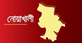 জেলার সব উপজেলা, পৌর মেয়র ও জেলা পরিষদের চেয়ারম্যানদের অপসারণ করে প্রশাসক নিয়োগ