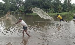 সেনবাগে টানা বর্ষণে পানি বন্দি হয়ে পড়েছে সাড়ে তিন লাখ মানুষ