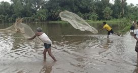 সেনবাগে টানা বর্ষণে পানি বন্দি হয়ে পড়েছে সাড়ে তিন লাখ মানুষ