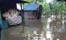 টানা বৃষ্টিতে তলিয়ে গেছে পুরোজেলা, মানুষ পানিবন্দি