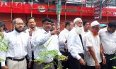 জেলায় বিএনপি ও জামায়াতের বৃক্ষ রোপন কর্মসূচি