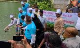 বেগমগঞ্জে জাতীয় মৎস্য সপ্তাহ পালিত : র‌্যালী, মাছের পোনা অবমুক্তকরণ এবং আলোচনা সভা অনুষ্ঠিত