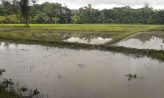 নোয়াখালীতে ভারী বৃষ্টির সম্ভাবনা, আবার বন্যার পূর্বভাস