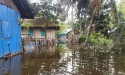 সোনাইমুড়ীতে বন্যাদুর্গত এলাকায় দুর্ভোগে পানিবন্দীরা, তীব্র খাদ্য সংকট