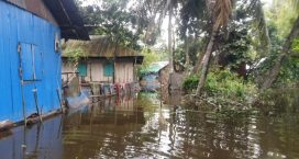 সোনাইমুড়ীতে বন্যাদুর্গত এলাকায় দুর্ভোগে পানিবন্দীরা, তীব্র খাদ্য সংকট