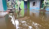 সোনাইমুড়ীতে ধীরে নামছে বন্যার পানি