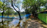 সোনাইমুড়ীতে এখনো পানিবন্দি হাজারো মানুষ