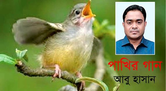 পাখির গান – আবু হাসান