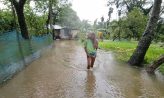 সোনাইমুড়ীতে আবারও বন্যার কবলে , আতঙ্কে পানিবন্দি মানুষ