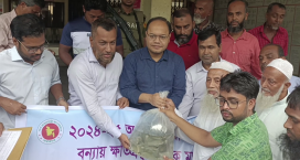সেনবাগে বন্যায় ক্ষতিগ্রস্থ মৎস্য চাষীদের মাঝে পোনা মাছ বিতরণ